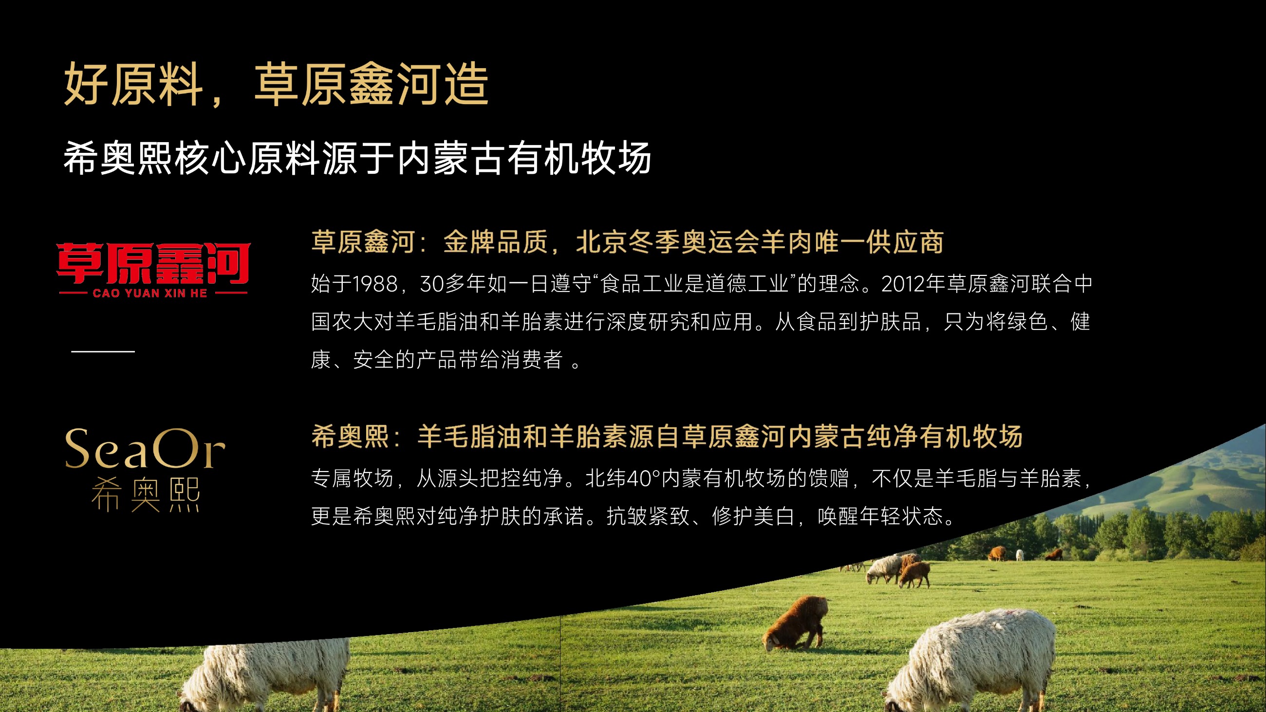 草原鑫河