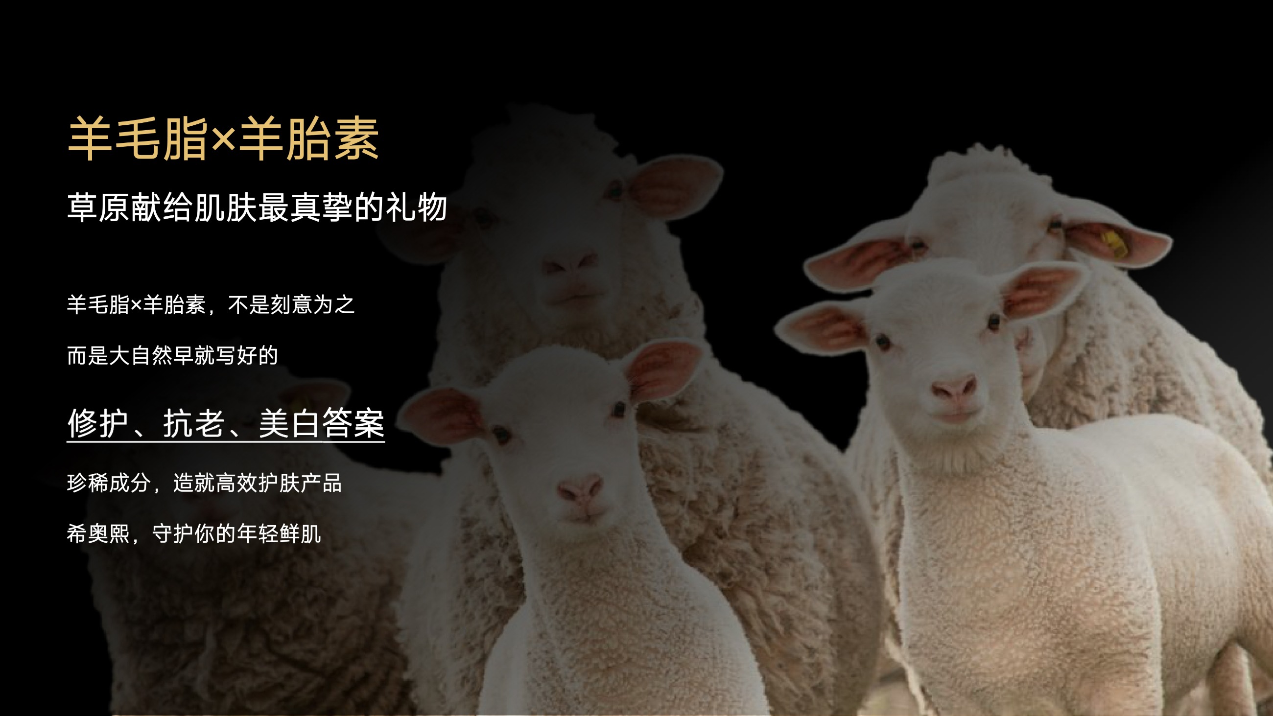 草原鑫河