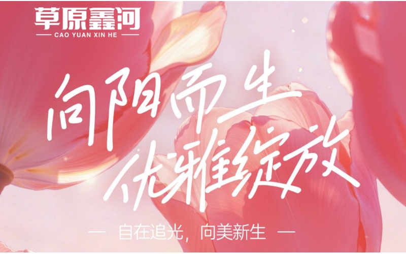 【草原鑫河】祝所有女神：眼里有光，心中有爱